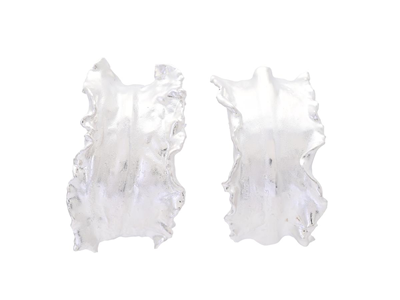 Jewellery, EARRINGS, silver-plated algae