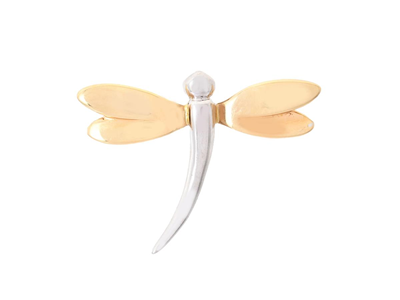 Jewellery, PIN, dragonfly