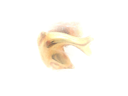 Lot, Earring one odd 14K 0,5g, Dolphin, in auction: Pawn – Tuesday 2 March 2021