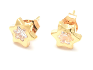 Jewellery, Earrings one pair 18K stars 1,1g with stones , in auction: Pawn – Tuesday 29 March 2022