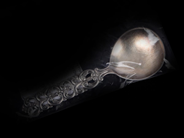 Lot, Soppsked S830 28,4g, in auction: Pawn – Tuesday 30 August 2022