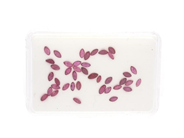 Gemstones - RUBIES, marquise cut - View 1