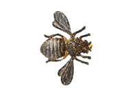 Jewellery, BROOCH, sterling silver, in auction: Lilla jewellery – Tuesday 26 August