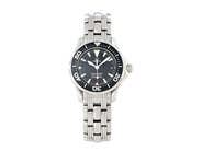Watches - OMEGA Seamaster Professional (300m/1000ft), Cal 1424 - View 1