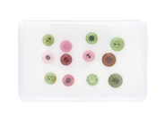 Gemstones, 12 TOURMALINES, brilliant cut, in auction: Lilla jewellery – Tuesday 23 September