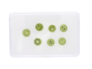 Gemstones, 7 PERIDOTS, round, in auction: Lilla jewellery – Tuesday 23 September