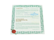 Watches - ROLEX, OP - View 14