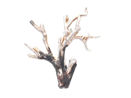 Jewellery - BROOCH, silver-plated tree branch - View 1