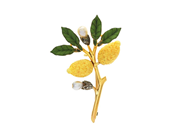 Jewellery - BROOCH, lemon branch - View 1