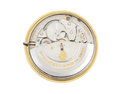 Watches - INTERNATIONAL WATCH Co, Schaffhausen - View 12