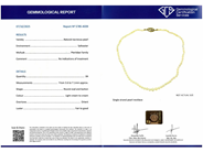 Jewellery - PEARL NECKLACE, natural pearls 3,6-7,1 mm - View 5
