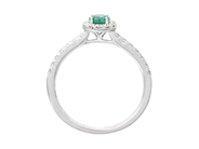 Jewellery - RING, 18K white gold - View 2