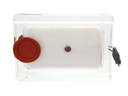 Gemstones - RUBY, oval-cut - View 1
