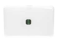Gemstones - GREEN TOURMALINE, octagonal cut - View 1