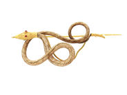 Jewellery, BROOCH, Snake, in auction: NewYear – Saturday 27 December 2025