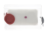 Gemstones, RUBY, oval mixed cut, in auction: Lilla jewellery – Tuesday 27 January