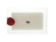 Gemstones, RUBY, oval-cut, in auction: Lilla jewellery – Tuesday 14 July