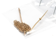 Pawnitems, Lot of gold, 14K broken 2,8g, in auction: Pawn – Tuesday 16 November 2010