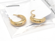 Pawnitems, Earrings, one pair, in auction: Pawn – Tuesday 16 November 2010