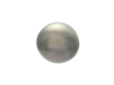 Ädelstenar, ODLAD TAHITIPÄRLA, 15,6x15,0 mm