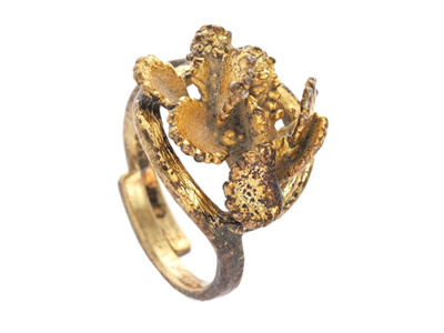 Smycken, FLORA DANICA, ring