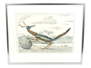 Konst, Karl Axel Pehrson (1921-2005), "Bonus Henricus Caninus Piluliferus", i auktion: Pant – Tisdag 30 november 2021