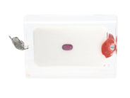 Ädelstenar, RUBIN, avlång kuddslipad, i auktion: Lilla Smycken – Tisdag 10 februari