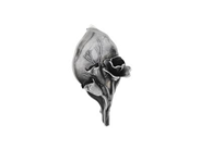 BROSCH, silver, blomma, höjd ca 4 cm, vikt 4,6 g.